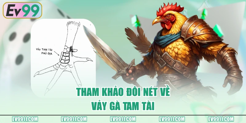 Tham khảo đôi nét về vảy gà tam tài